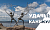 Удачные каникулы